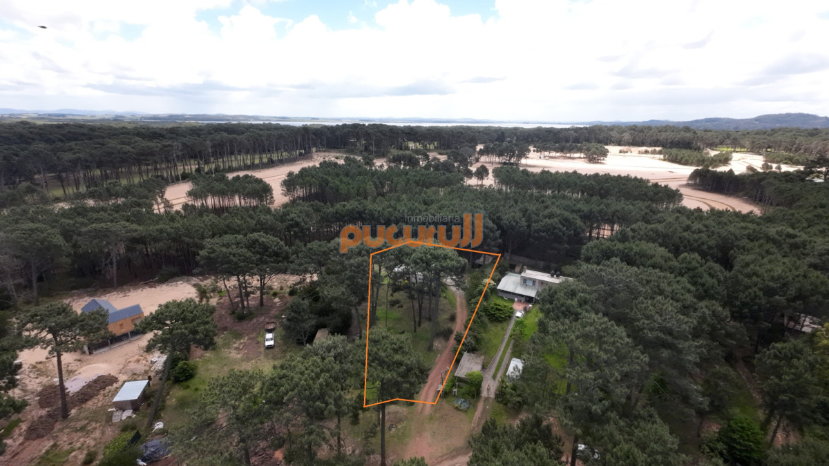 Casa ID.2353 - Entorno de Bosque!