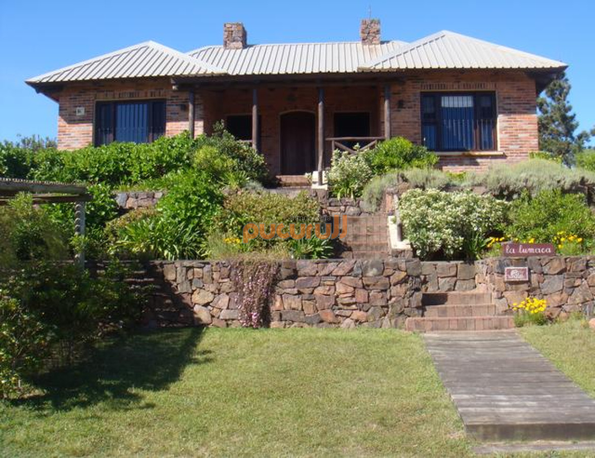 Tio Tom - GoPunta - Portal Inmobiliario de Punta del Este - Maldonado