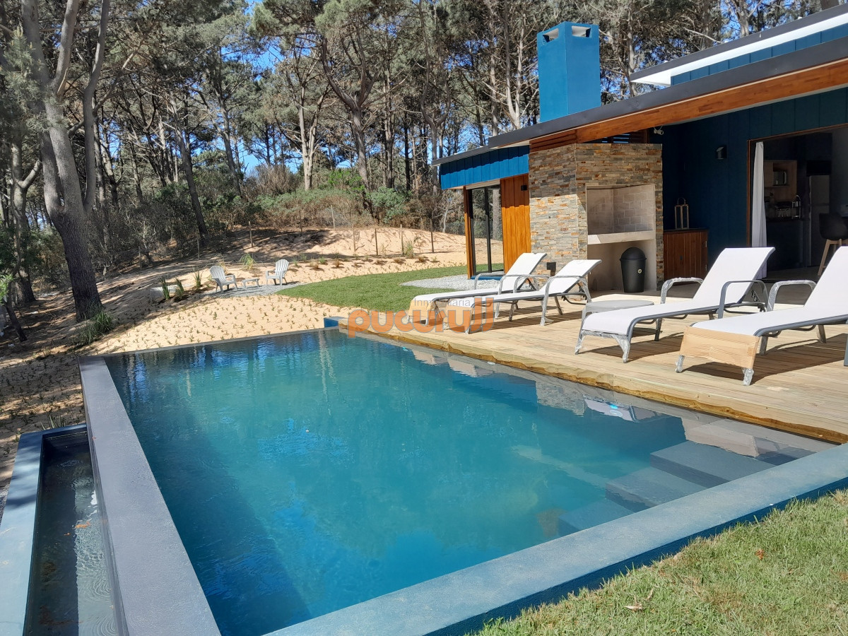 Chihuahua - GoPunta - Portal Inmobiliario de Punta del Este - Maldonado