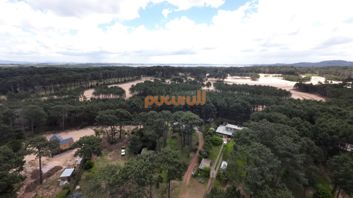 Casa ID.2353 - Entorno de Bosque!