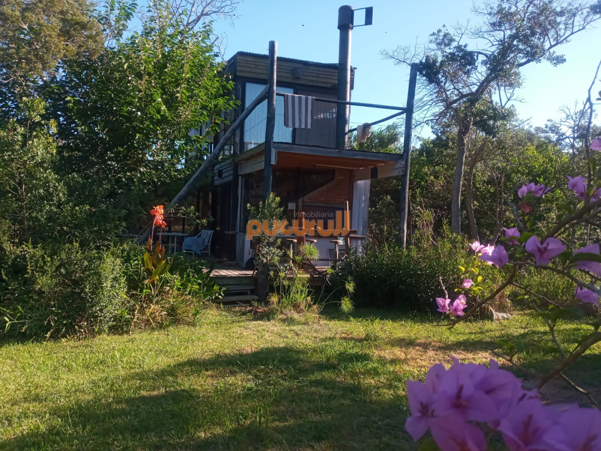 Sauce de Portezuelo - GoPunta - Portal Inmobiliario de Punta del Este - Maldonado