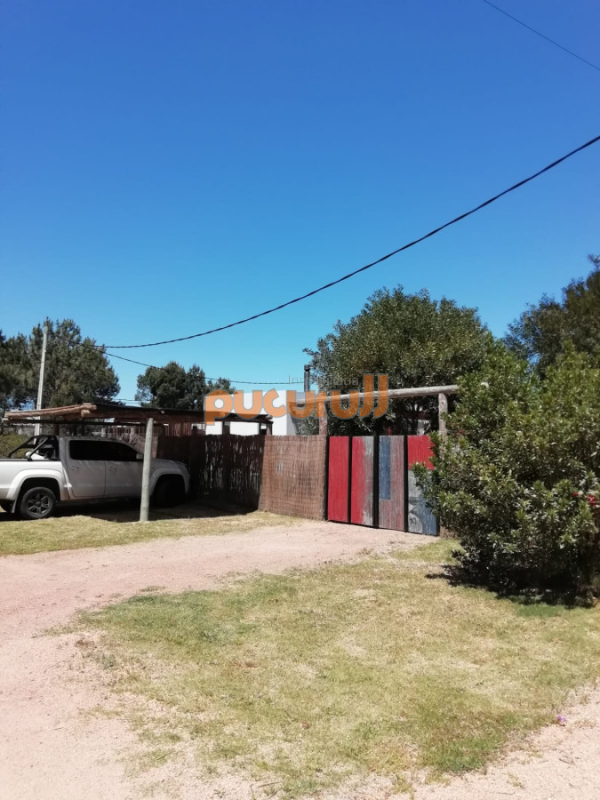 Tio Tom - GoPunta - Portal Inmobiliario de Punta del Este - Maldonado