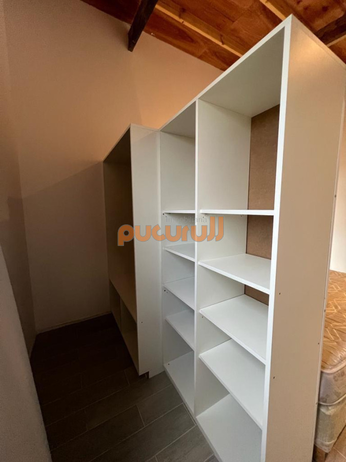 Chihuahua - GoPunta - Portal Inmobiliario de Punta del Este - Maldonado
