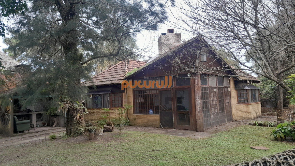Tio Tom - GoPunta - Portal Inmobiliario de Punta del Este - Maldonado