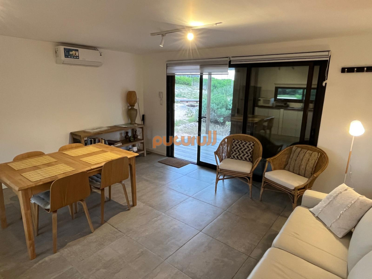 Chihuahua - GoPunta - Portal Inmobiliario de Punta del Este - Maldonado