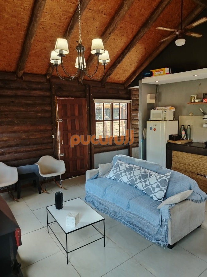 Chihuahua - GoPunta - Portal Inmobiliario de Punta del Este - Maldonado
