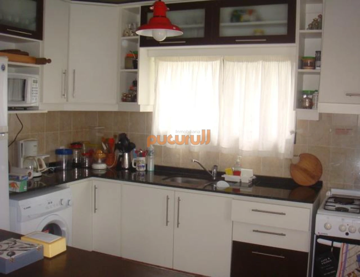 Tio Tom - GoPunta - Portal Inmobiliario de Punta del Este - Maldonado