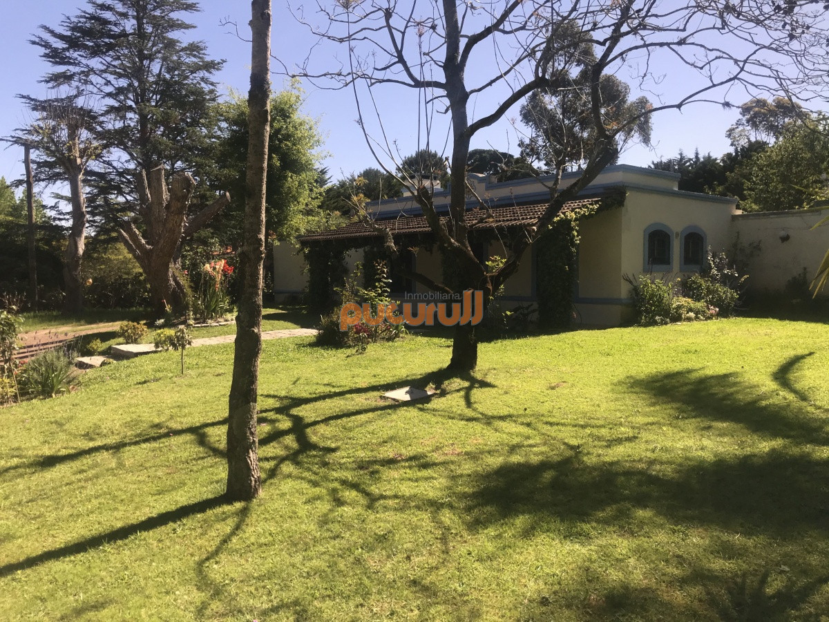 Propiedad - GoPunta - Portal Inmobiliario de Punta del Este - Maldonado