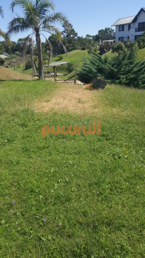 Casa ID.282 - Casa en Punta Ballena, Tio Tom