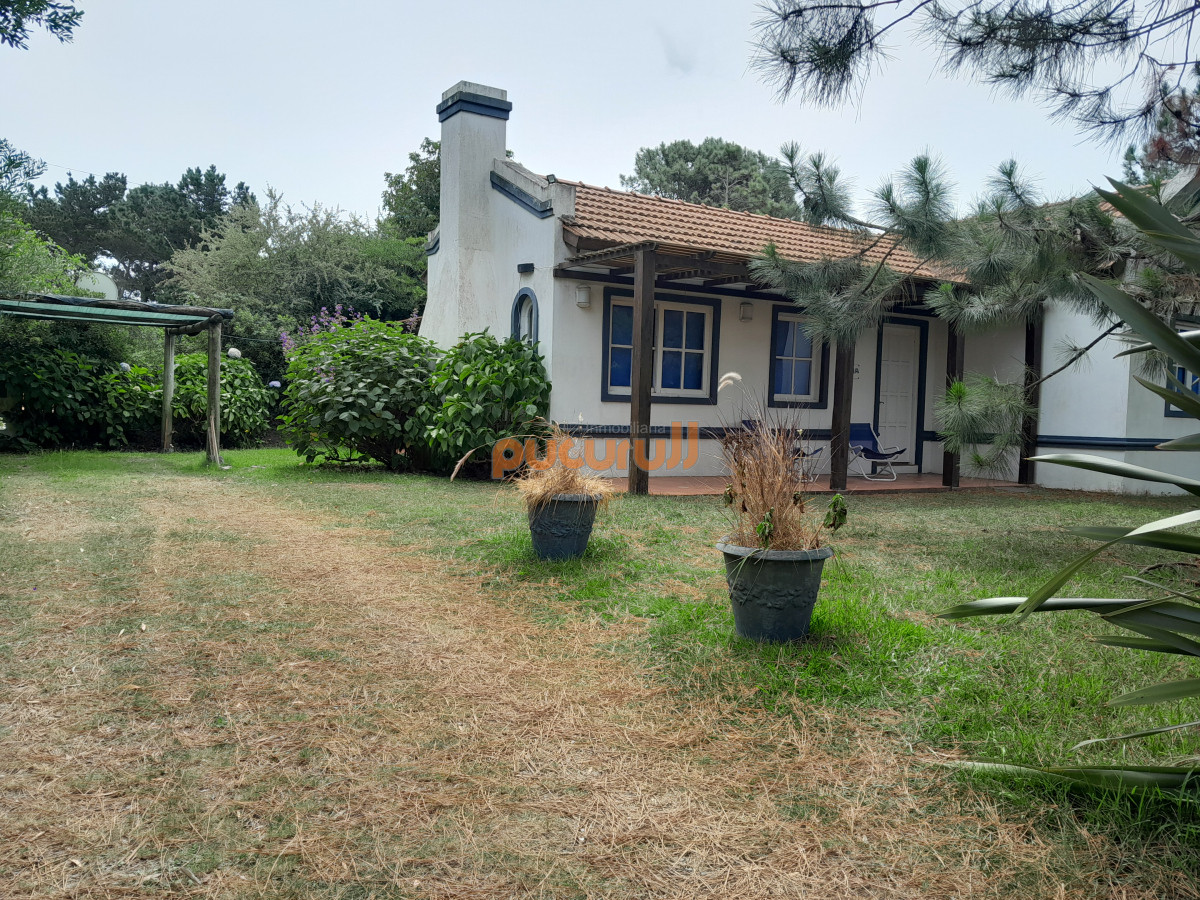 Tio Tom - GoPunta - Portal Inmobiliario de Punta del Este - Maldonado