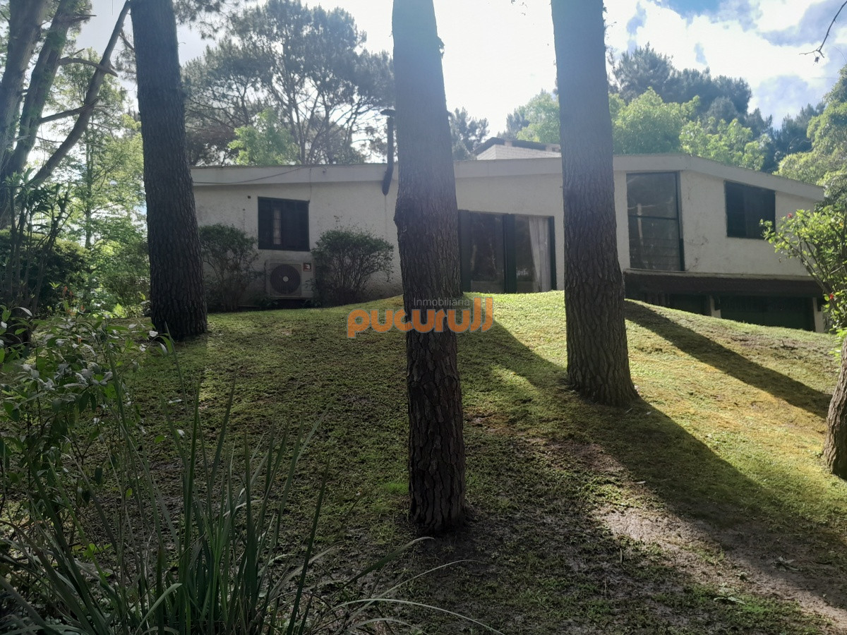 Portezuelo Bosque - GoPunta - Portal Inmobiliario de Punta del Este - Maldonado