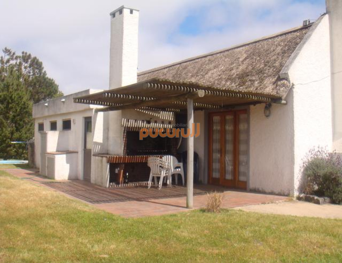 Tio Tom - GoPunta - Portal Inmobiliario de Punta del Este - Maldonado