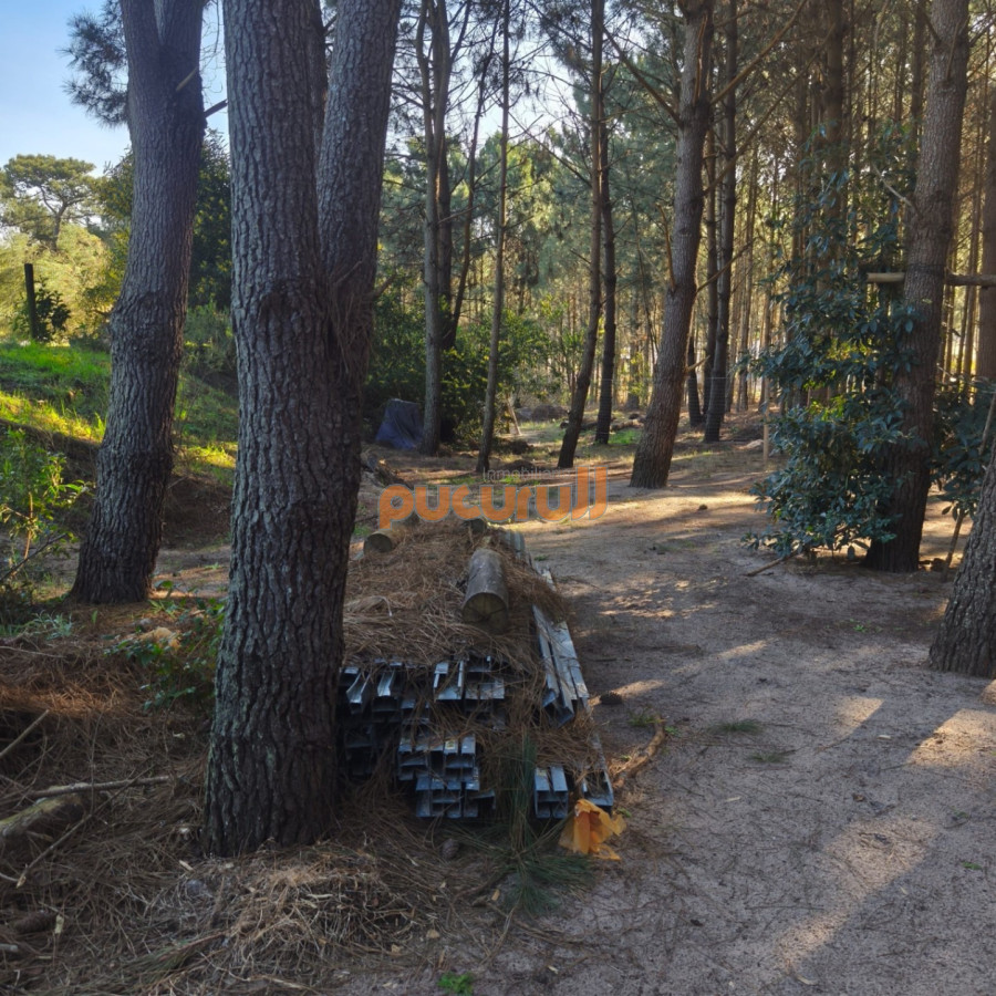 Casa ID.2353 - Entorno de Bosque!