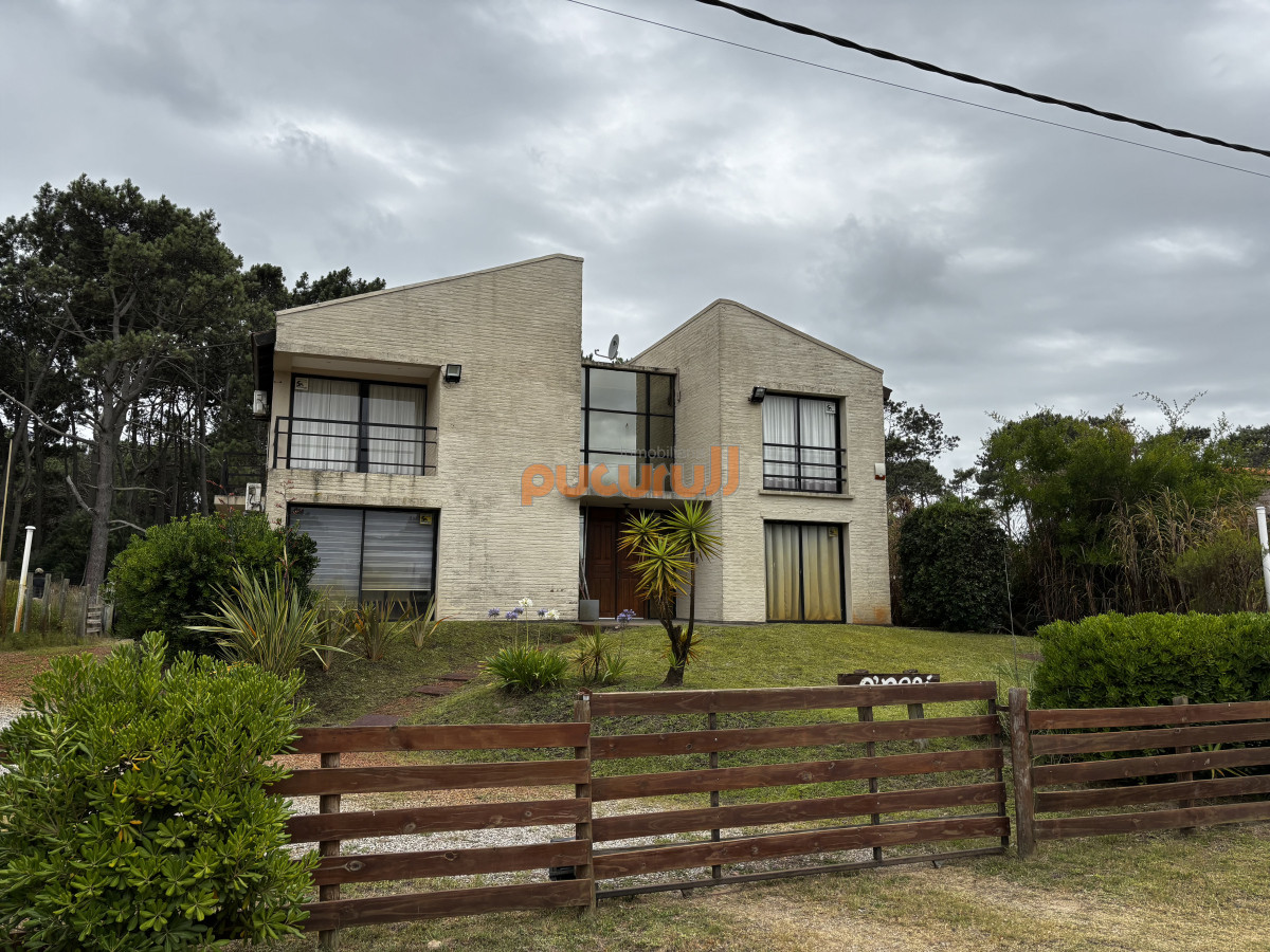 Chihuahua - GoPunta - Portal Inmobiliario de Punta del Este - Maldonado