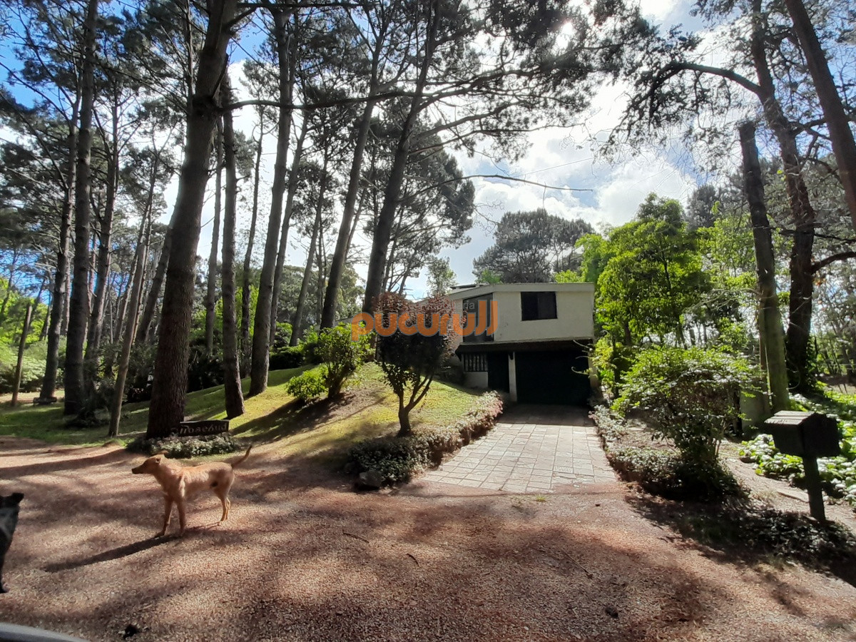 Casa ID.1420 - Casa en Punta Ballena, Portezuelo Bosque