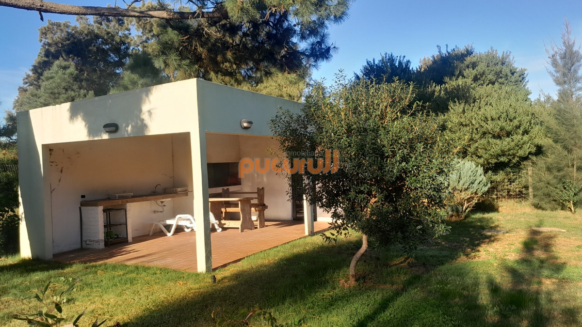 Tio Tom - GoPunta - Portal Inmobiliario de Punta del Este - Maldonado