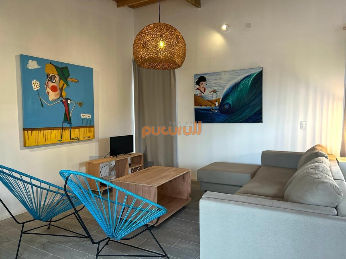 Chihuahua - GoPunta - Portal Inmobiliario de Punta del Este - Maldonado