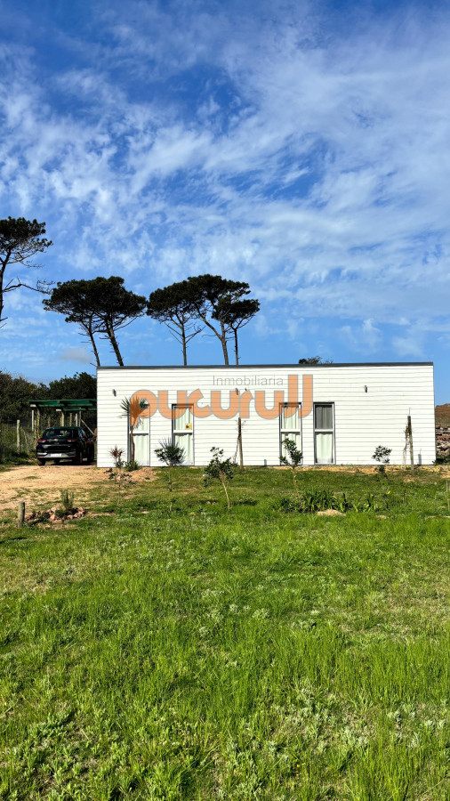 Chihuahua - GoPunta - Portal Inmobiliario de Punta del Este - Maldonado
