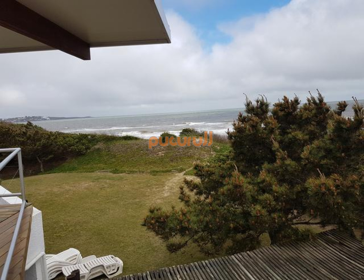 Tio Tom - GoPunta - Portal Inmobiliario de Punta del Este - Maldonado