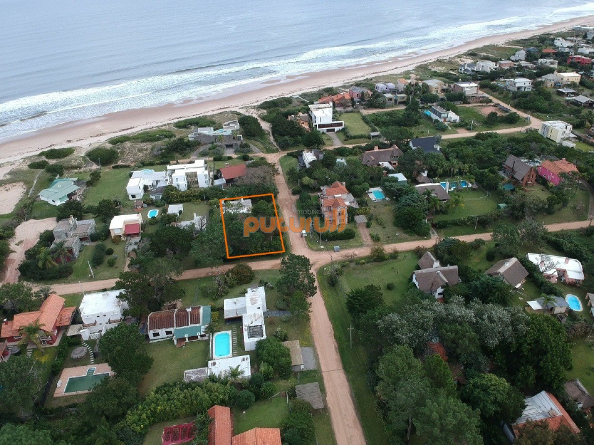 Tio Tom - GoPunta - Portal Inmobiliario de Punta del Este - Maldonado