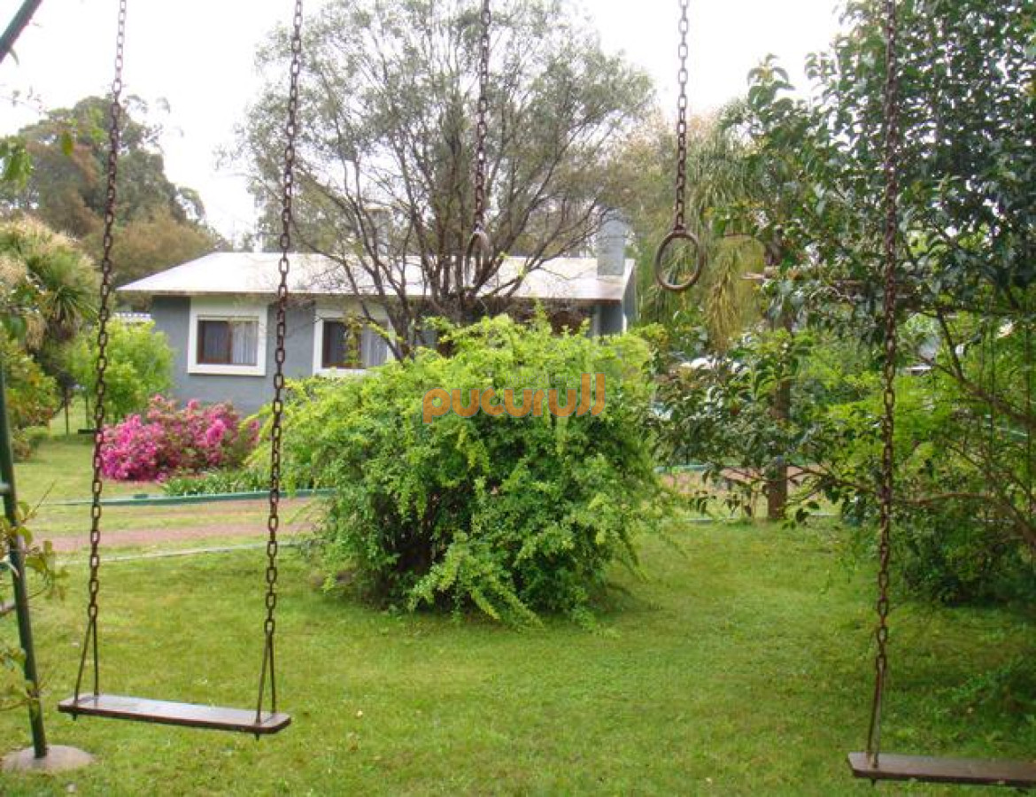 Duraznito - GoPunta - Portal Inmobiliario de Punta del Este - Maldonado