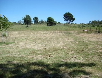 OPORTUNIDAD bajó de precio!  con casita a reclicar