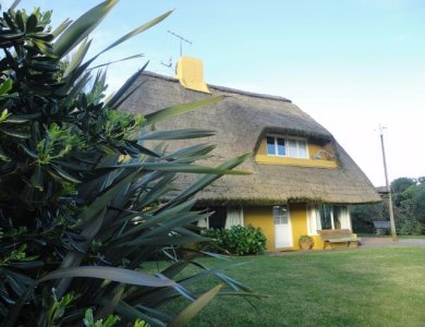 Casa en Punta Ballena, Tio Tom