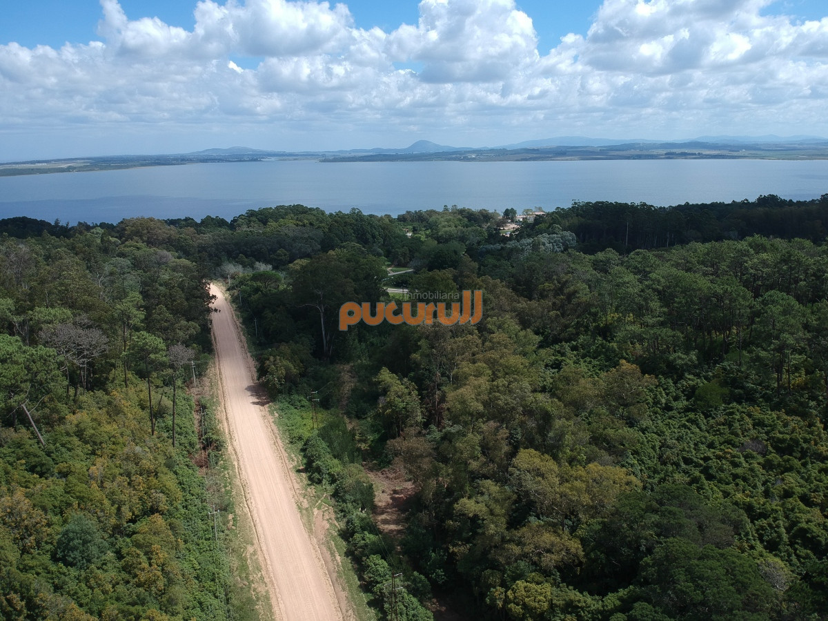 Las Cumbres - GoPunta - Portal Inmobiliario de Punta del Este - Maldonado