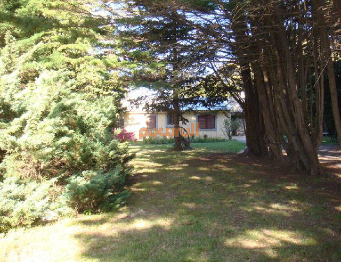Camino Lussich - GoPunta - Portal Inmobiliario de Punta del Este - Maldonado