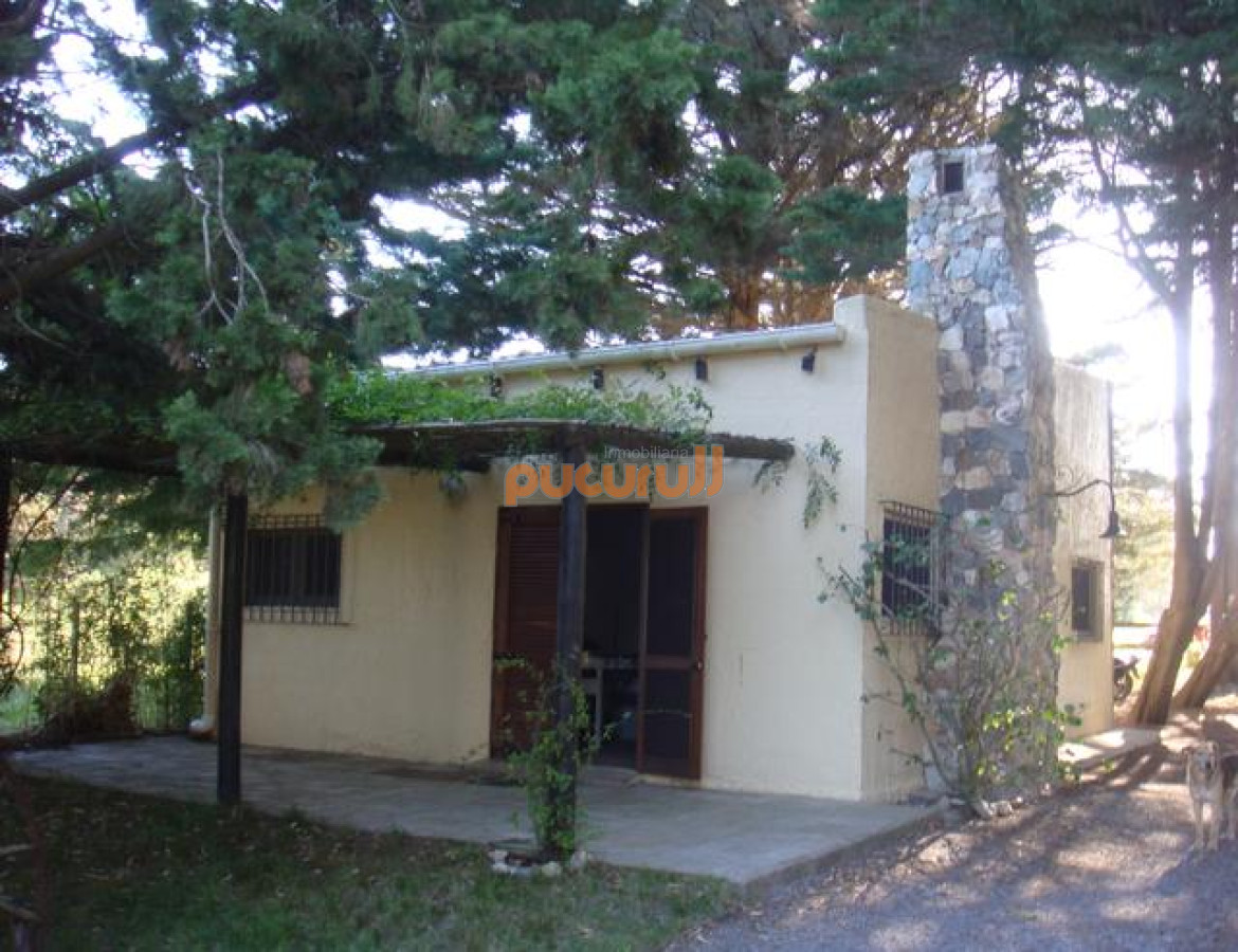Camino Lussich - GoPunta - Portal Inmobiliario de Punta del Este - Maldonado
