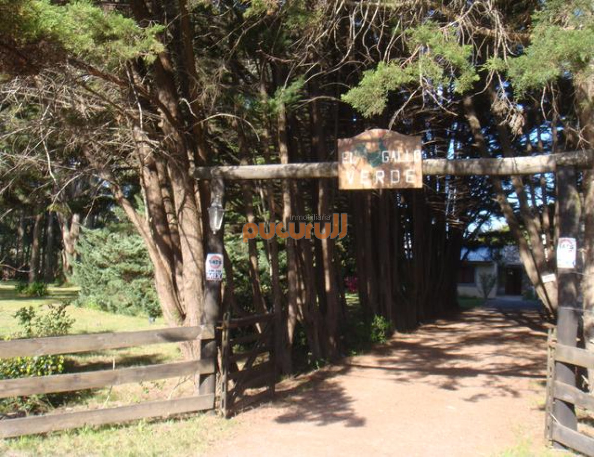 Camino Lussich - GoPunta - Portal Inmobiliario de Punta del Este - Maldonado
