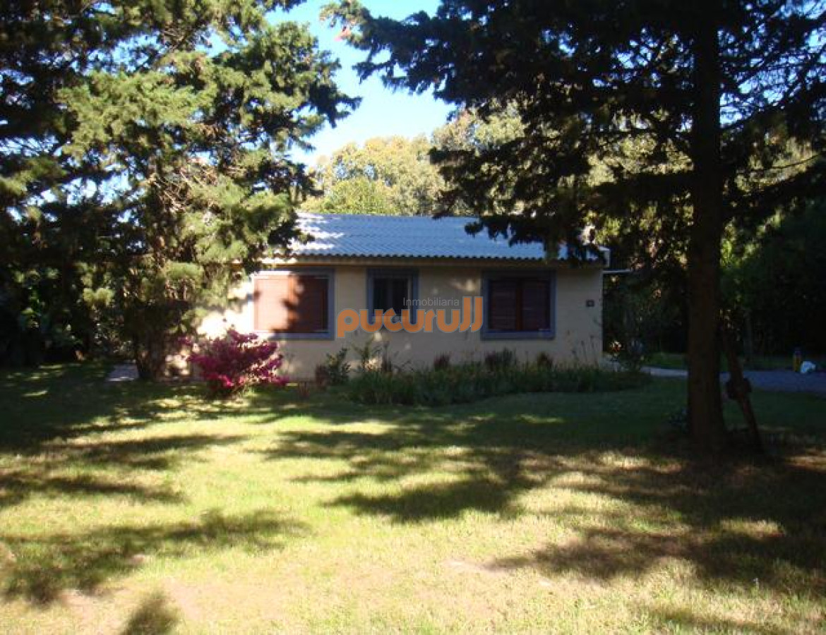 Camino Lussich - GoPunta - Portal Inmobiliario de Punta del Este - Maldonado