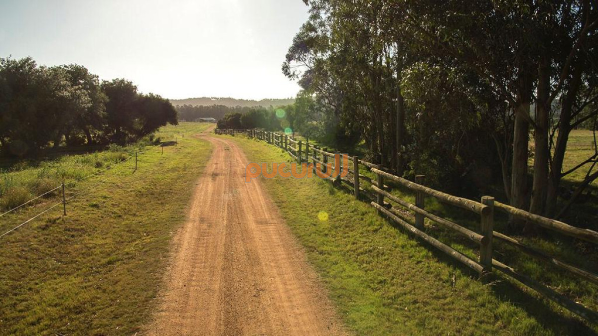 La Pataia - GoPunta - Portal Inmobiliario de Punta del Este - Maldonado