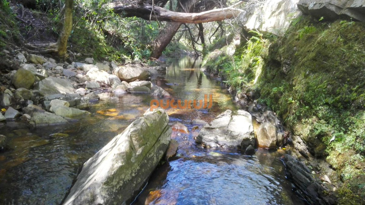 Chacra 35 Hás. en un Lugar excepcional; entre Maldonado y Minas! Sierra del Carapé - GoPunta - Portal Inmobiliario de Punta del Este - Maldonado