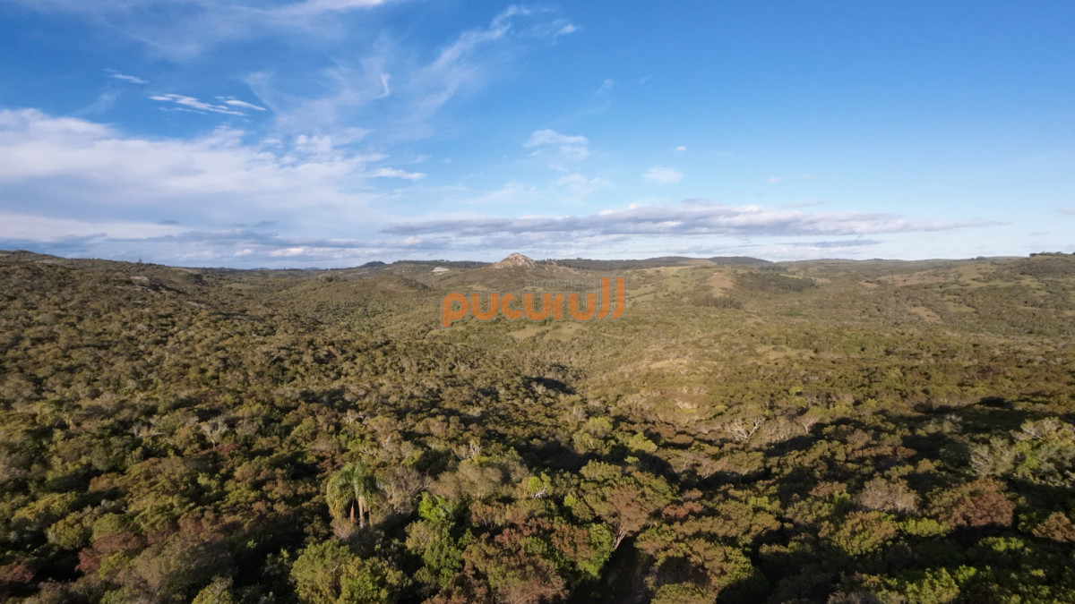 Chacra ID.1744 - Unicas 150 hectáreas en un lugar excepcional; entre Maldonado y Minas! Sierra del Carapé