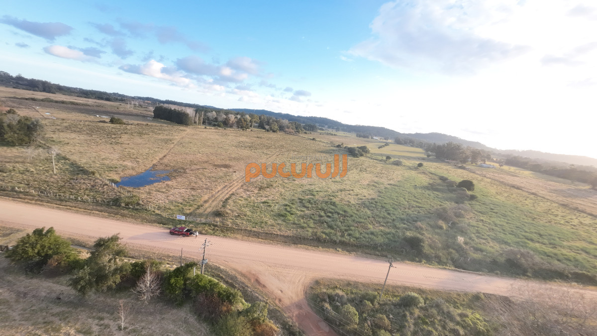 La Pataia - GoPunta - Portal Inmobiliario de Punta del Este - Maldonado