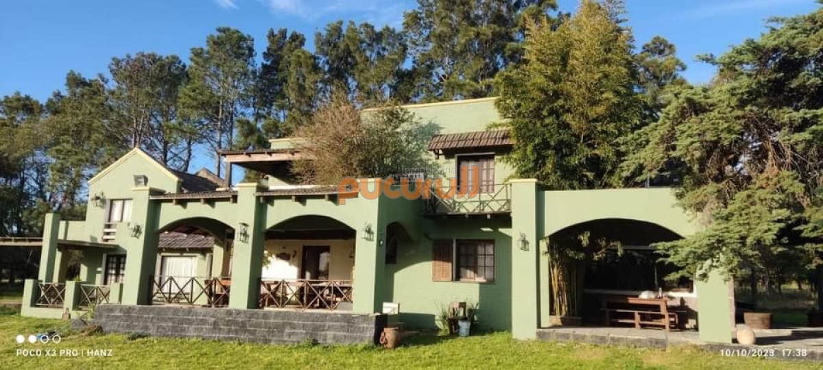 El Pejerrey - GoPunta - Portal Inmobiliario de Punta del Este - Maldonado