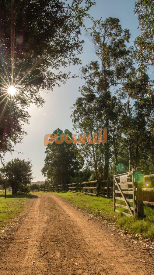 Chacra ID.1703 - 