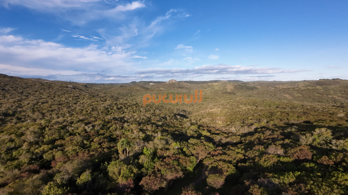 Chacra ID.1744 - Unicas 150 hectáreas en un lugar excepcional; entre Maldonado y Minas! Sierra del Carapé