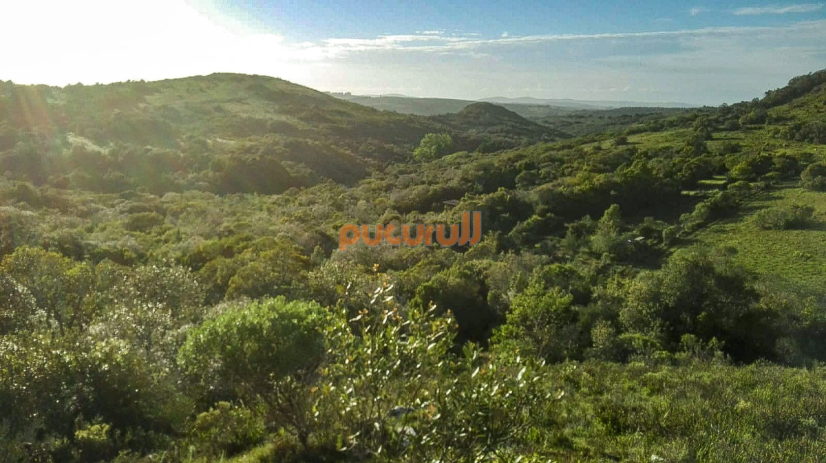 Chacra 35 Hás. en un Lugar excepcional; entre Maldonado y Minas! Sierra del Carapé - GoPunta - Portal Inmobiliario de Punta del Este - Maldonado