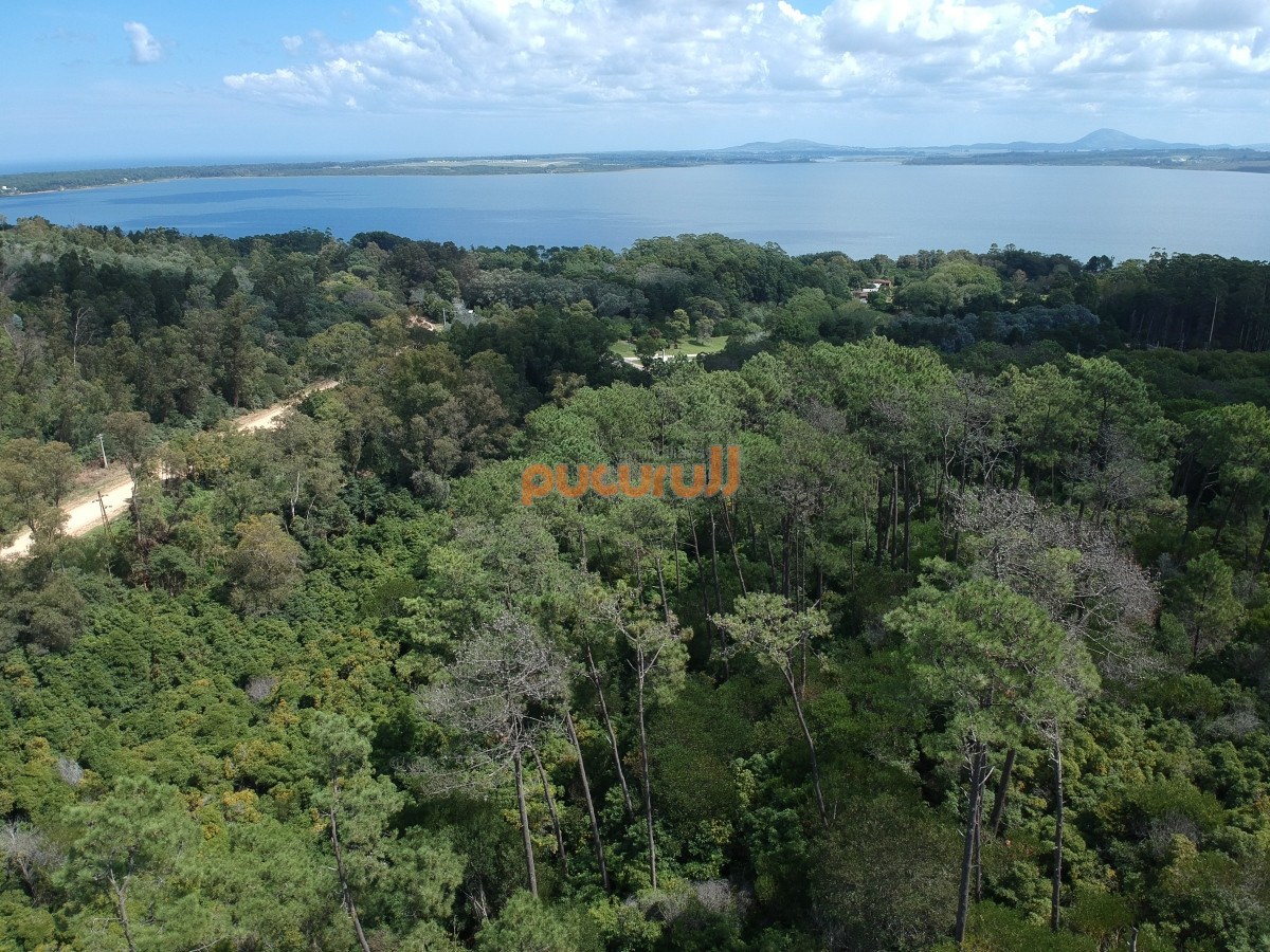 Chacra ID.1714 - 