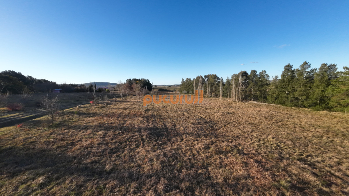 Chacra ID.2221 - 