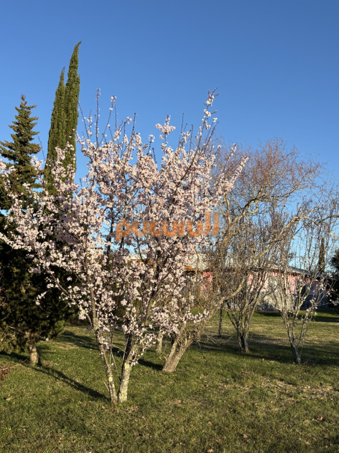 Chacra ID.2221 - 