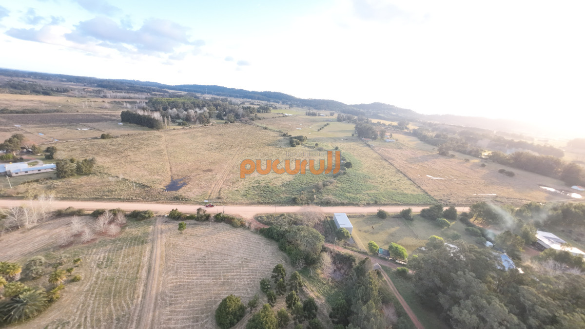 La Pataia - GoPunta - Portal Inmobiliario de Punta del Este - Maldonado