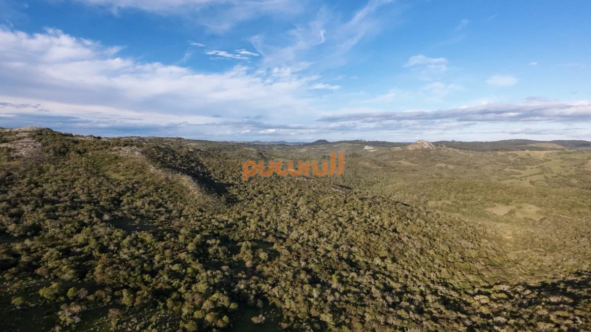 Chacra ID.1744 - Unicas 150 hectáreas en un lugar excepcional; entre Maldonado y Minas! Sierra del Carapé