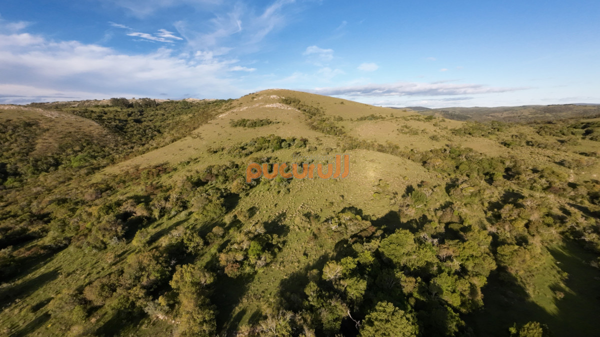 Chacra ID.1744 - Unicas 150 hectáreas en un lugar excepcional; entre Maldonado y Minas! Sierra del Carapé