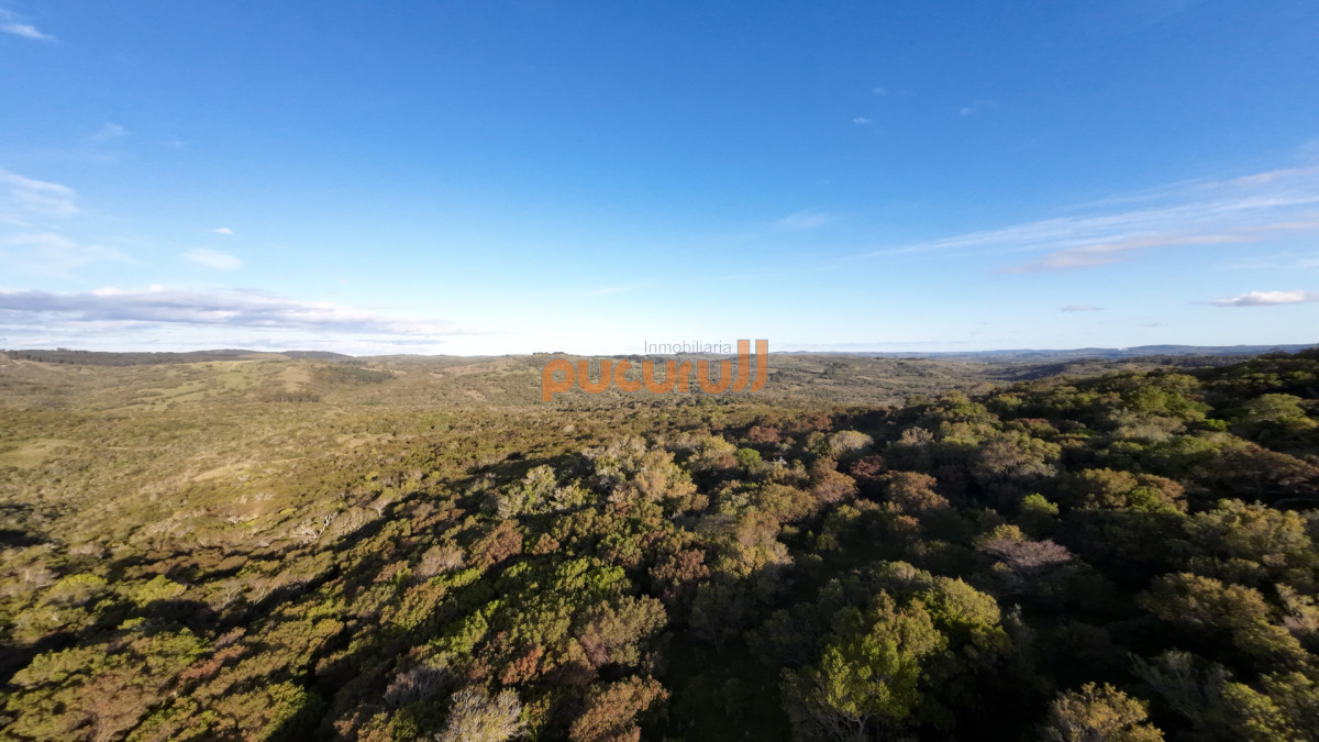Chacra ID.1744 - Unicas 150 hectáreas en un lugar excepcional; entre Maldonado y Minas! Sierra del Carapé
