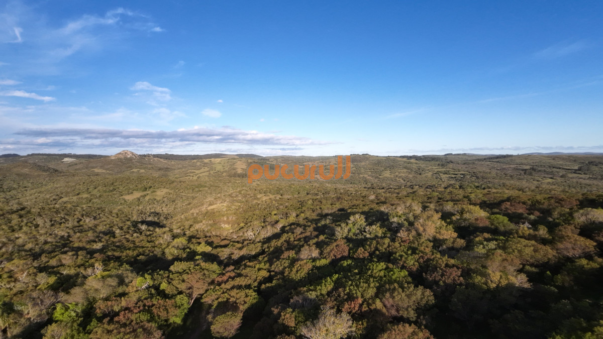 Chacra ID.1744 - Unicas 150 hectáreas en un lugar excepcional; entre Maldonado y Minas! Sierra del Carapé