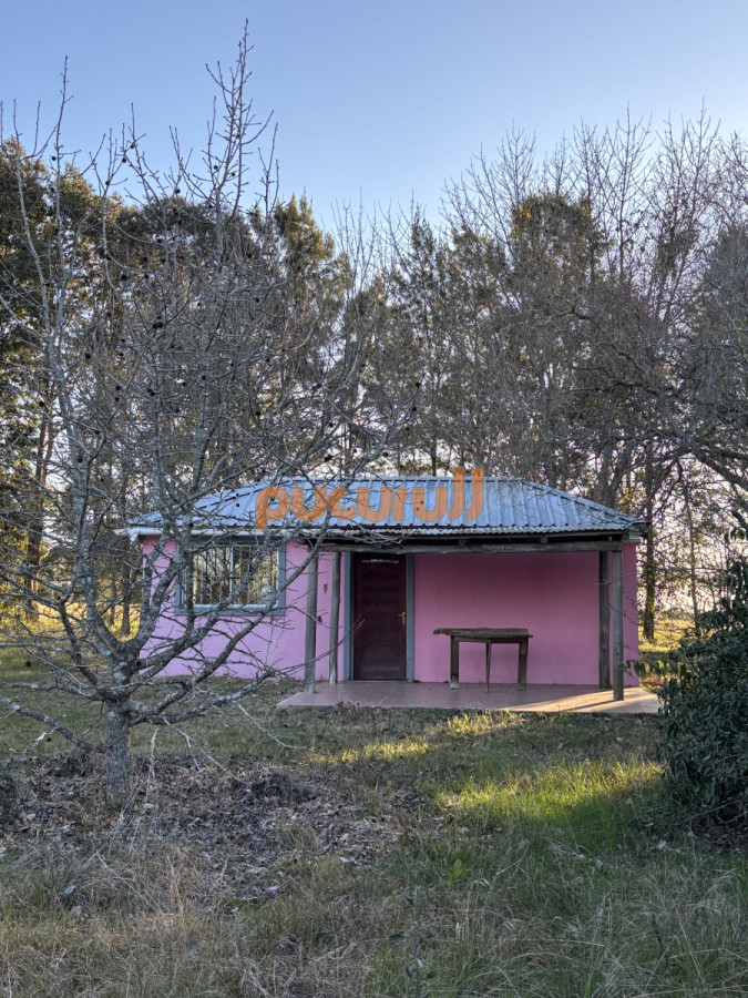 Chacra ID.2221 - 