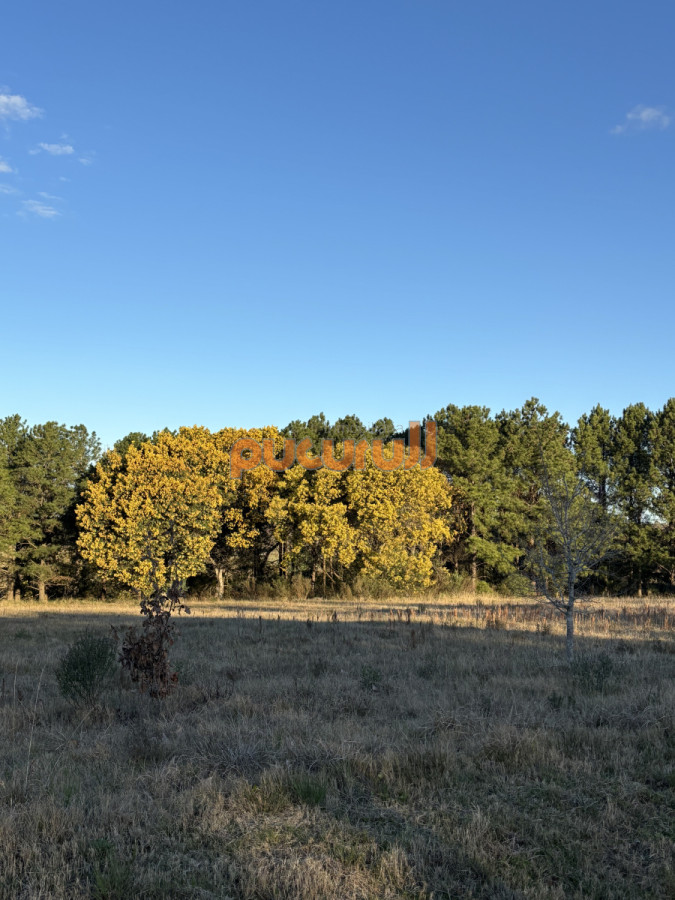 Chacra ID.2221 - 
